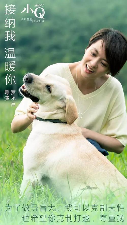 高仿健康管理体系认证证书